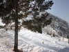 IMG_5230 Panorama